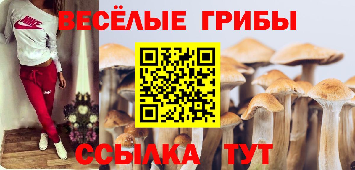 Сальск  Галлюциногенные грибы прущие грибы  Псилоцибиновые грибы мицелий  Вход с VPN 