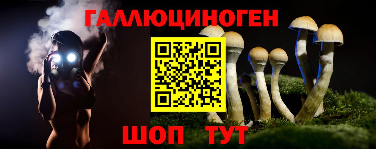 Псилоцибиновые грибы Cubensis Сальск